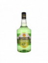 LICOR DE MANZANA VERDE FLAMINGO WILD 1.00