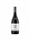 V.T. CASILLERO DEL DIABLO SHIRAZ .750